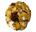S'mores Cookie