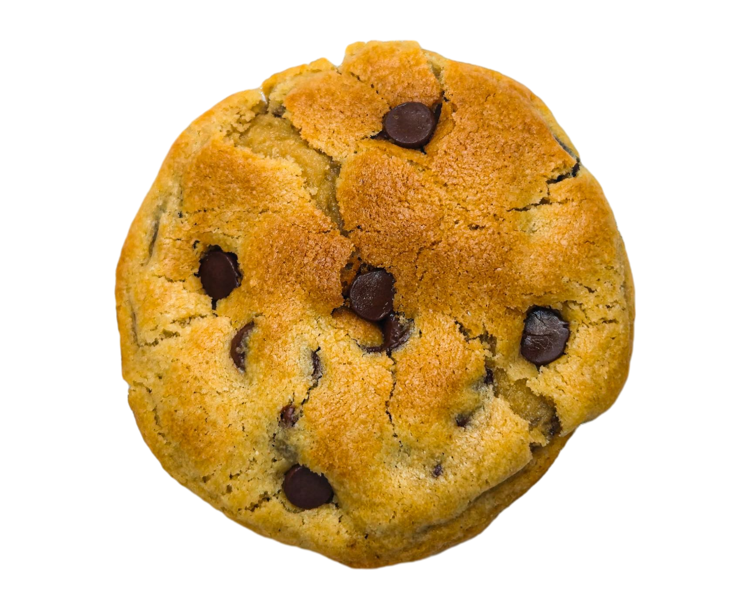 Chocolate Chip